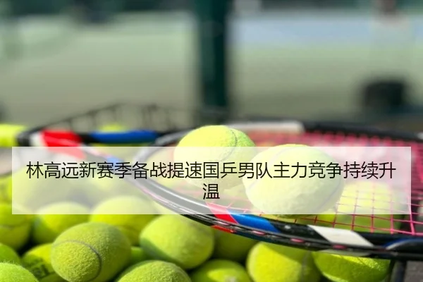 林高远新赛季备战提速国乒男队主力竞争持续升温