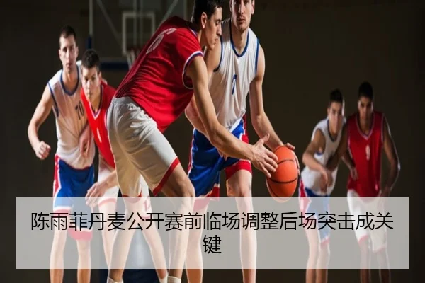 陈雨菲丹麦公开赛前临场调整后场突击成关键
